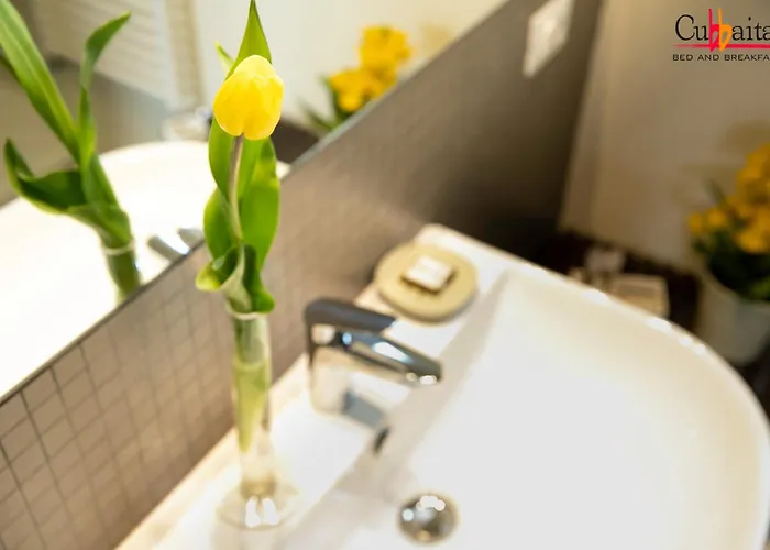 库巴伊塔住宿加早餐旅馆 住宿加早餐酒店 巴勒莫