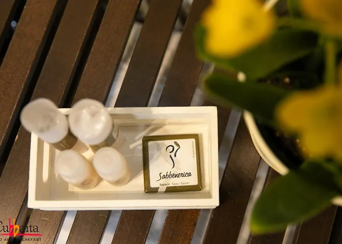 住宿加早餐酒店 库巴伊塔住宿加早餐旅馆