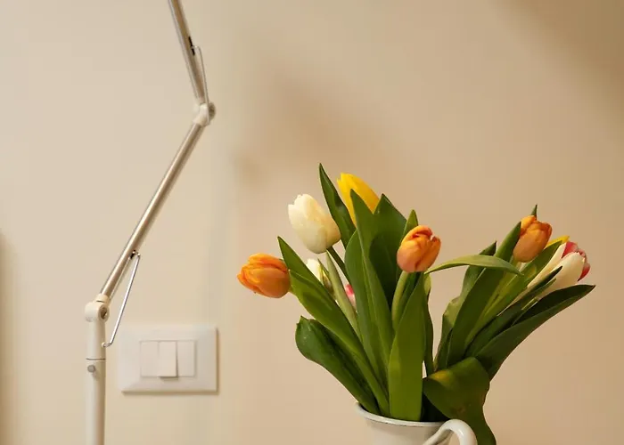 库巴伊塔住宿加早餐旅馆